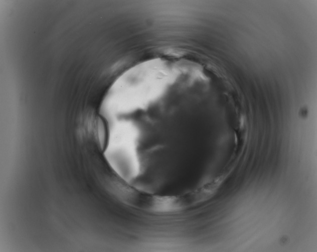 X0000100390143200807031958