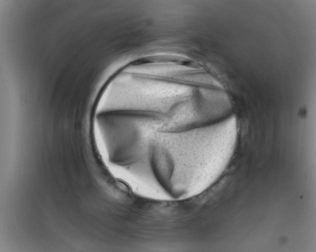 X0000100390148200807031957