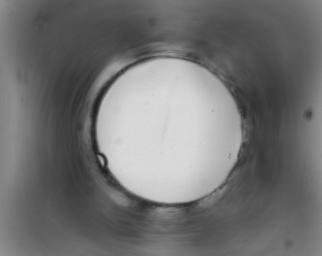 X0000100390150200807031957