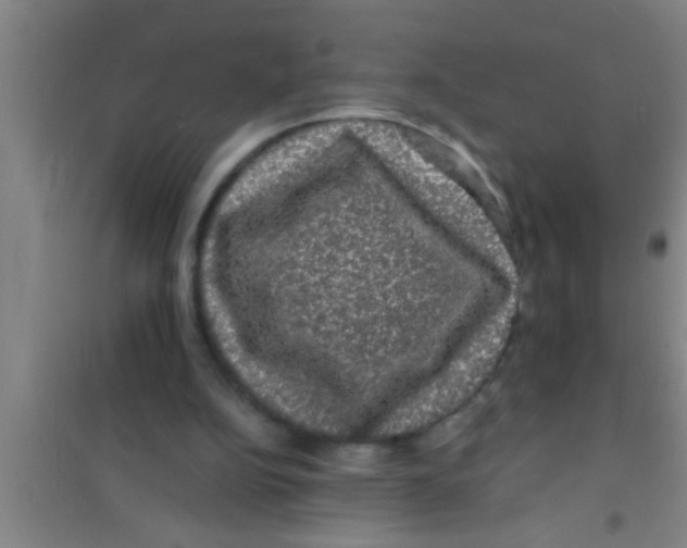 X0000100390152200807031957