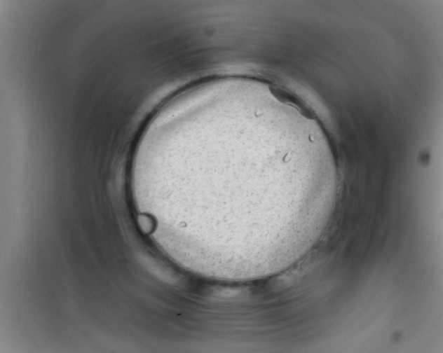 X0000100390155200807031958