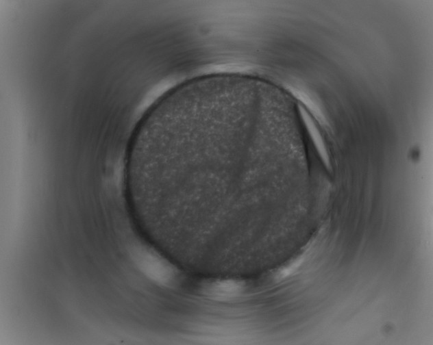 X0000100390156200807031958