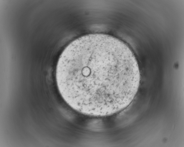 X0000100390162200807031958