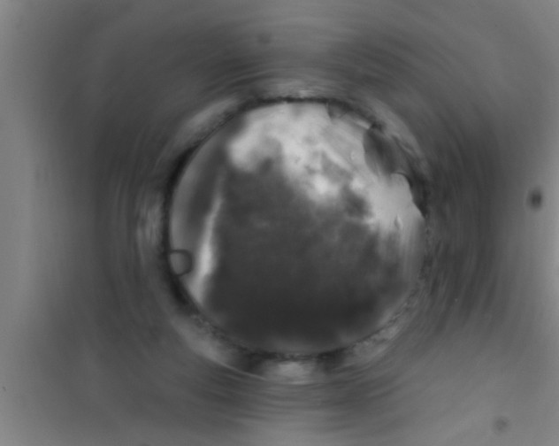 X0000100390163200807031958