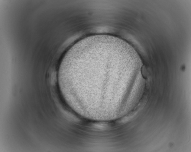 X0000100390164200807031958