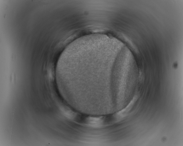 X0000100390170200807031958