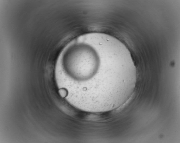 X0000100390171200807031958