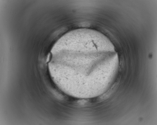 X0000100390172200807031958