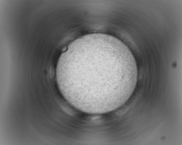 X0000100390173200807031958