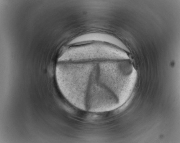 X0000100390174200807031958