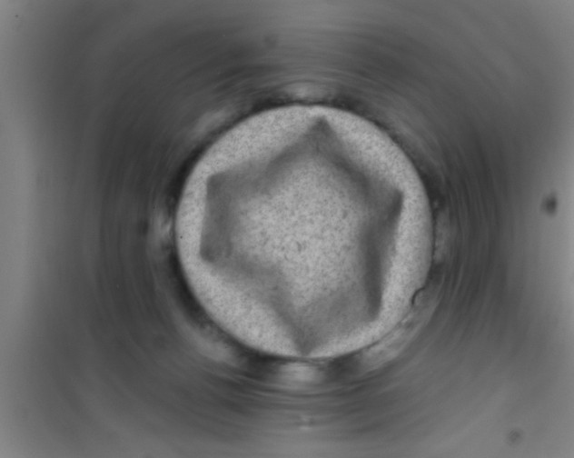 X0000100390176200807031958