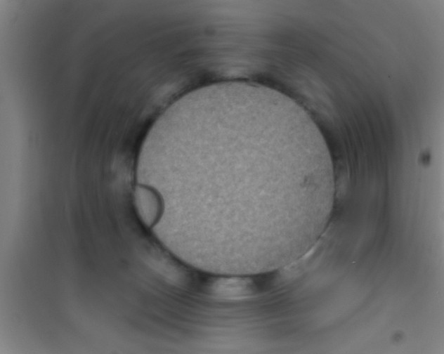 X0000100390179200807031958