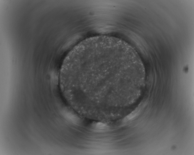 X0000100390180200807031958