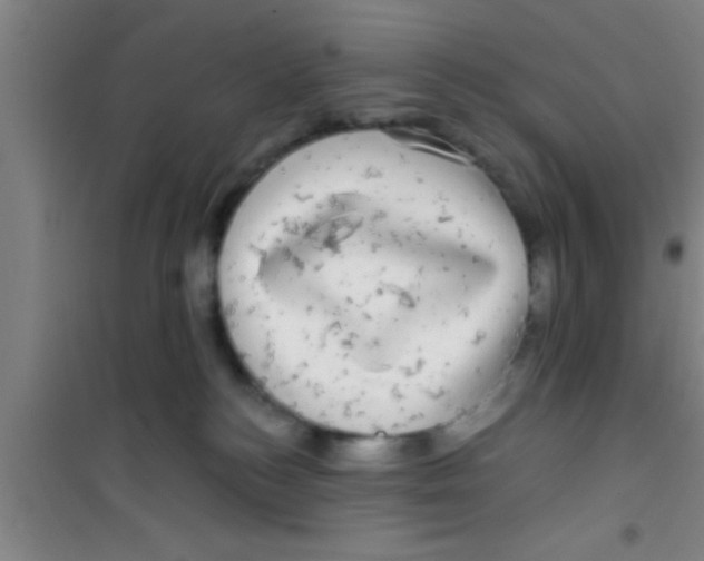 X0000100390184200807031958