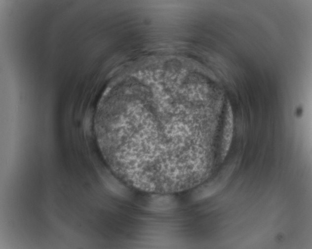 X0000100390185200807031958