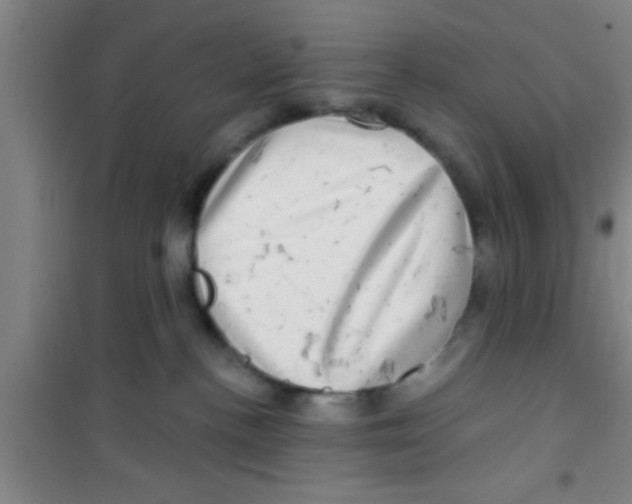 X0000100390188200807031958