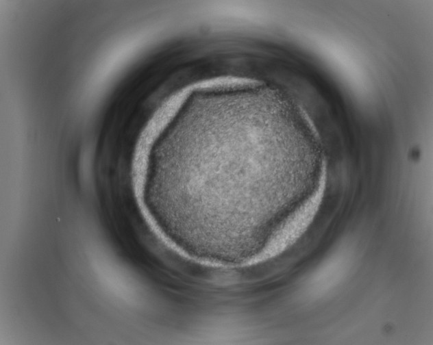 X0000100390189200807031958