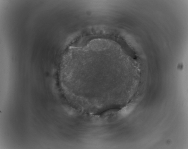 X0000100390192200807031958