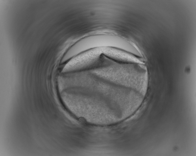 X0000100390193200807031957