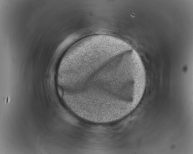 X0000100390197200807031957