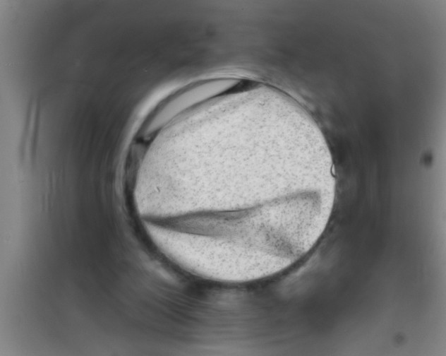 X0000100390200200807031957