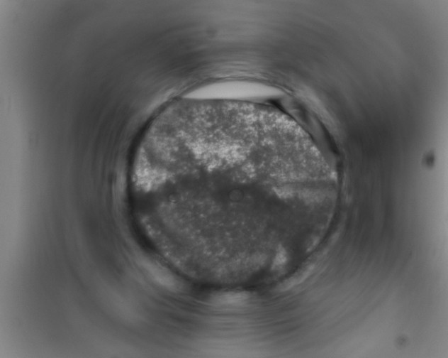 X0000100390202200807031957