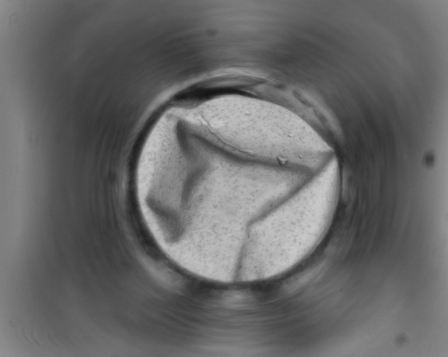 X0000100390204200807031957