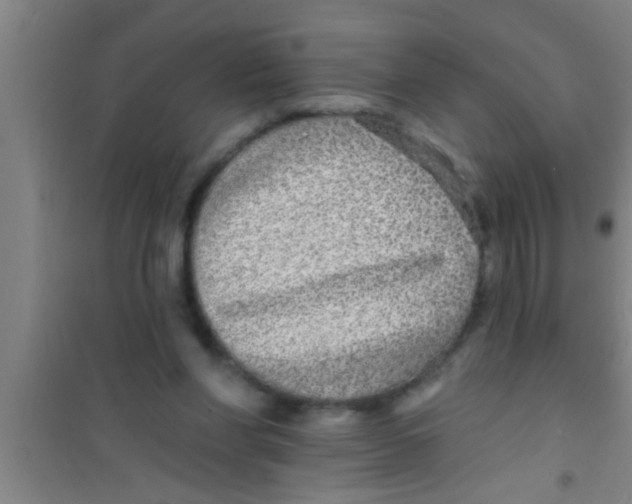 X0000100390206200807031957