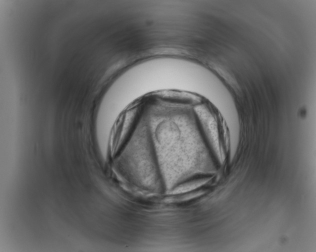 X0000100390207200807031957