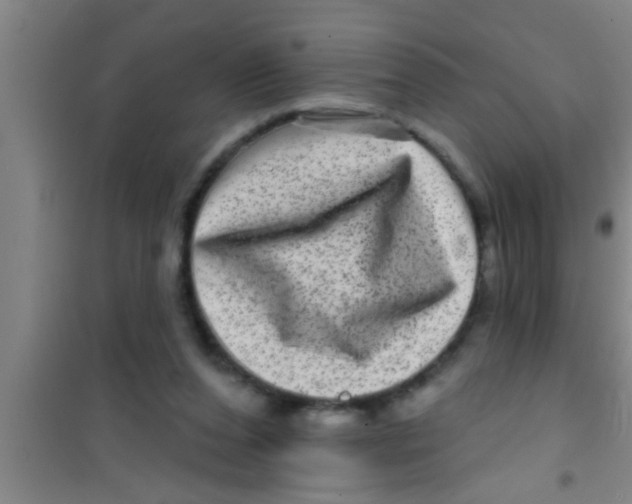 X0000100390208200807031957