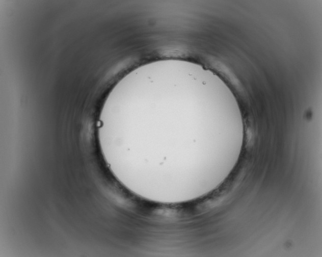 X0000100390211200807031957