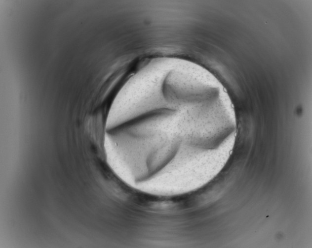 X0000100390212200807031957