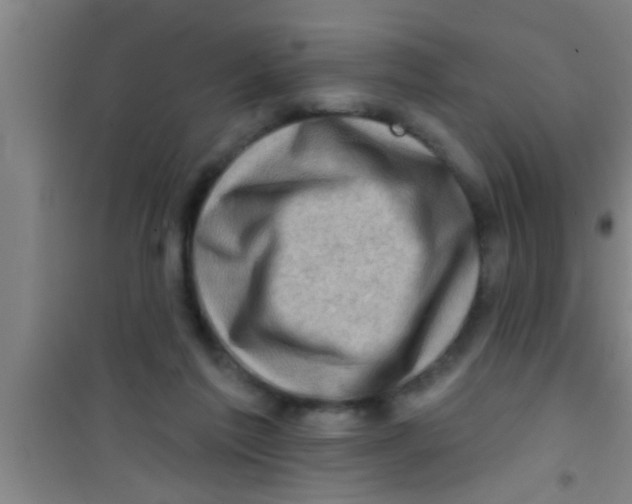 X0000100390213200807031957