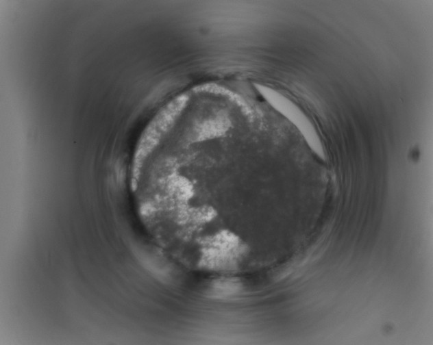 X0000100390214200807031957