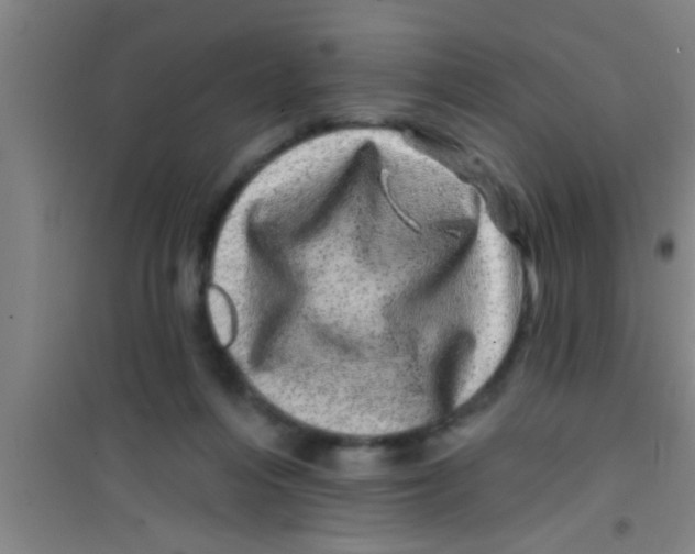 X0000100390216200807031957