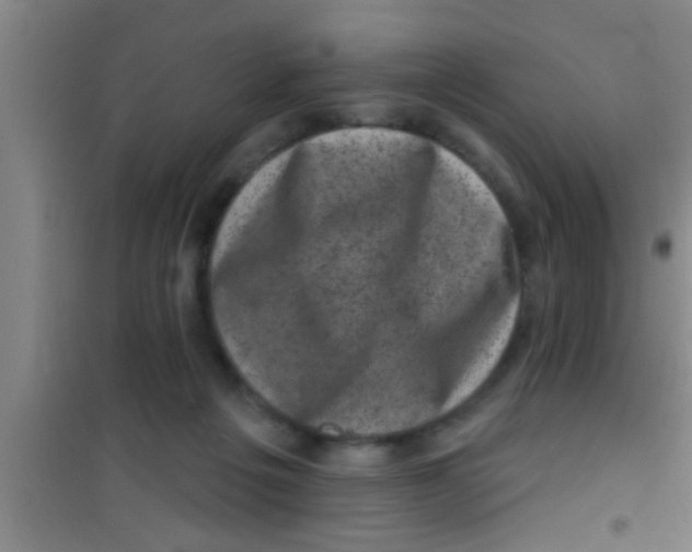 X0000100390217200807031957