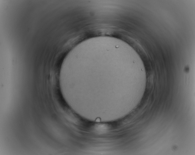 X0000100390218200807031957