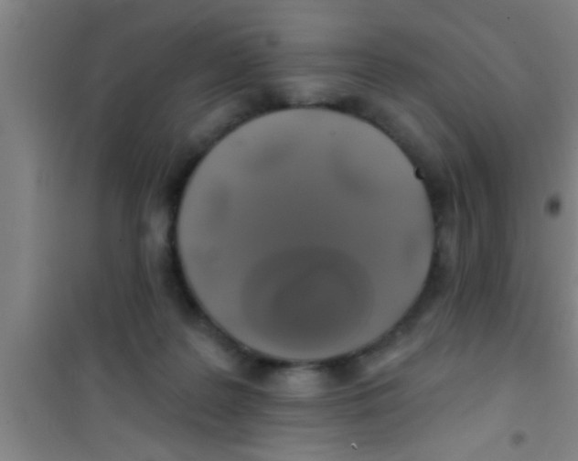 X0000100390219200807031957