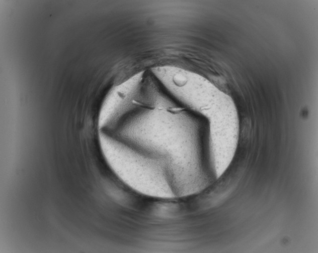 X0000100390220200807031957