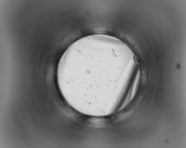 X0000100390221200807031957