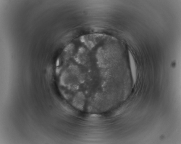 X0000100390222200807031957