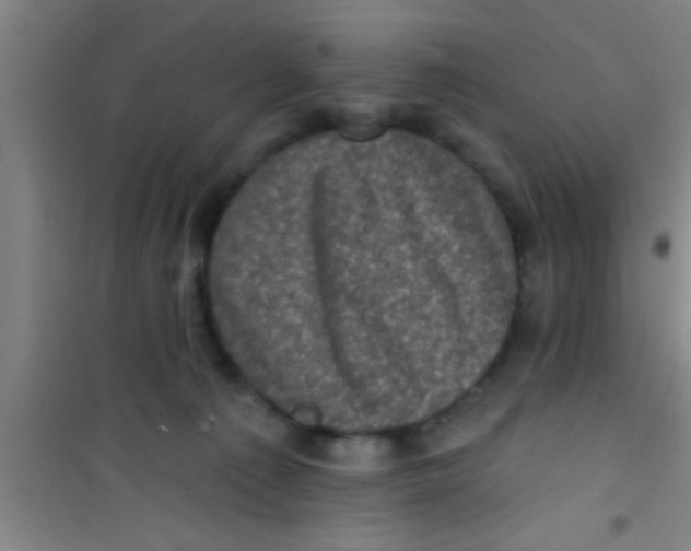 X0000100390225200807031957