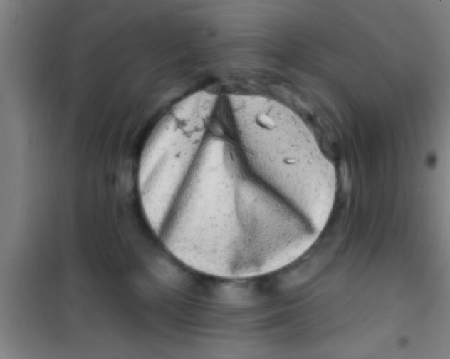 X0000100390232200807031957