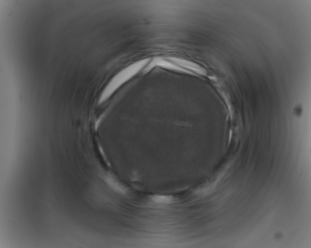 X0000100390233200807031957