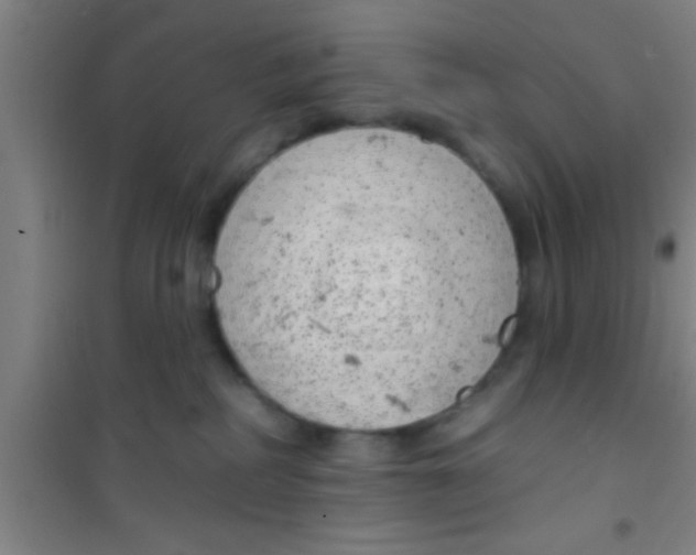 X0000100390234200807031957