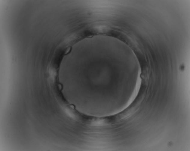 X0000100390235200807031957