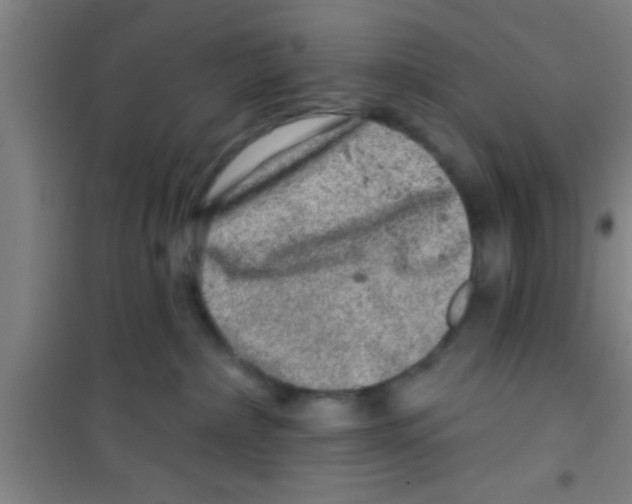 X0000100390236200807031957