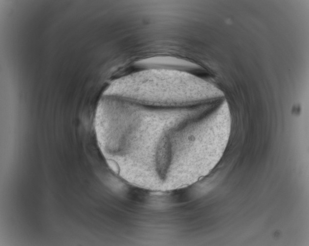 X0000100390240200807031957