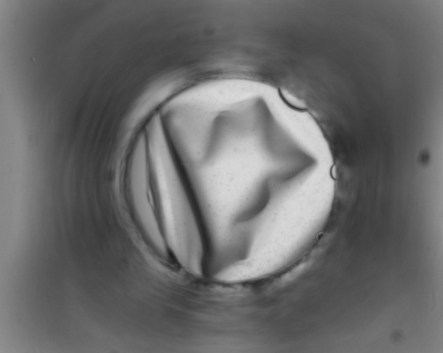 X0000100390245200807031956