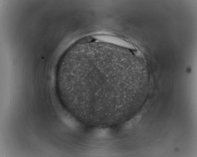 X0000100390247200807031956